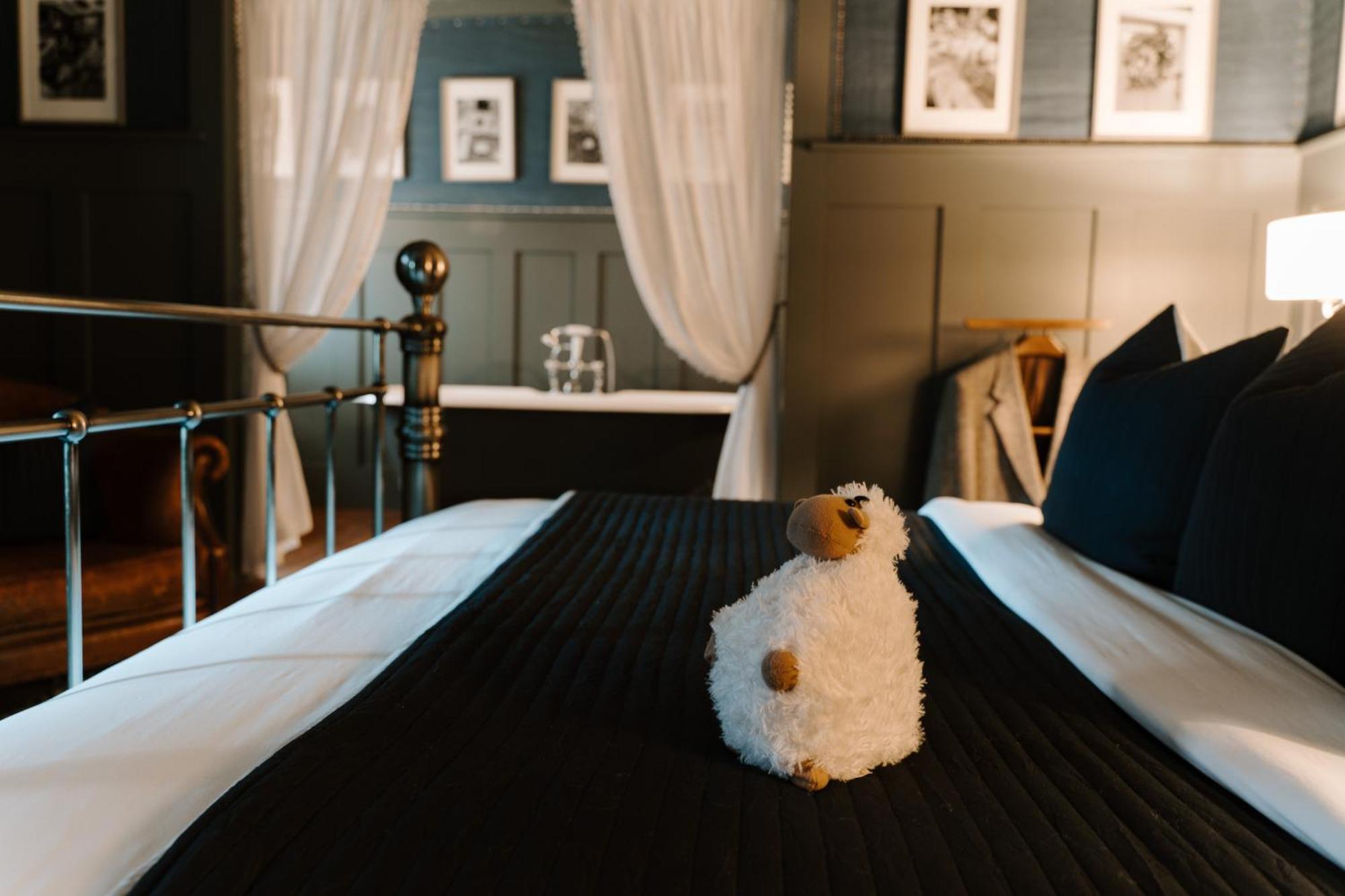 Sheddington Manor - 2 Bedroom Guest House & Cinema Belfast Luaran gambar